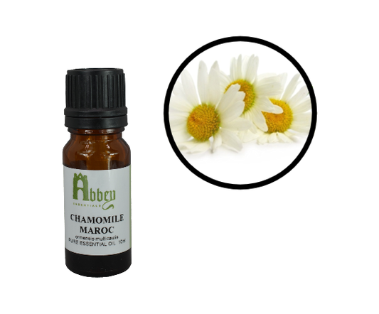 Chamomile Maroc Essential Oil-0